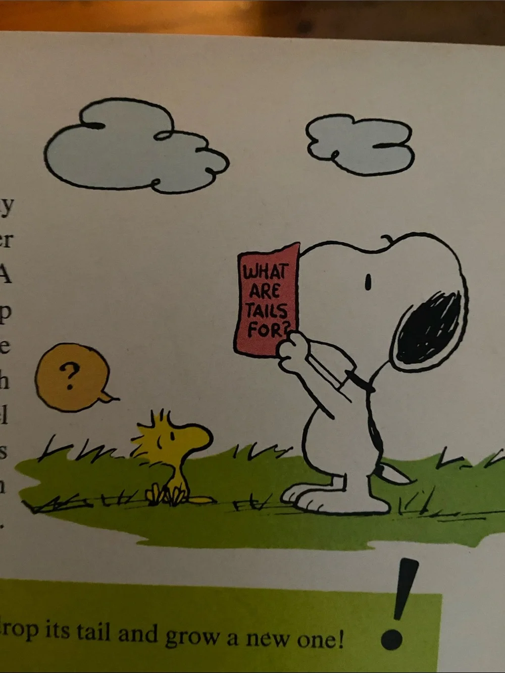 Vintage 70s 1970s Snoopy Peanuts Charlie Brown's Super Book Questions Answers hc